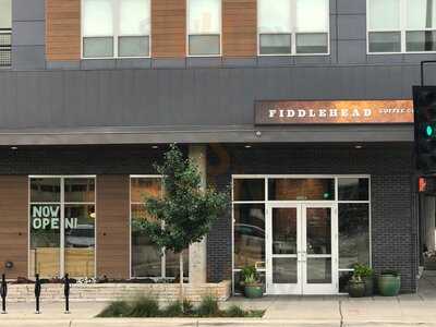 Fiddlehead Coffee