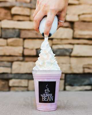 Human Bean Of Stewart