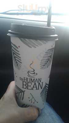 Human Bean Of Stewart