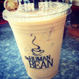 Human Bean Of Stewart