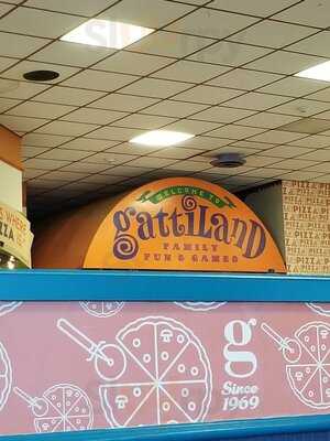 Mr Gatti's Pizza