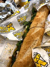 Which Wich