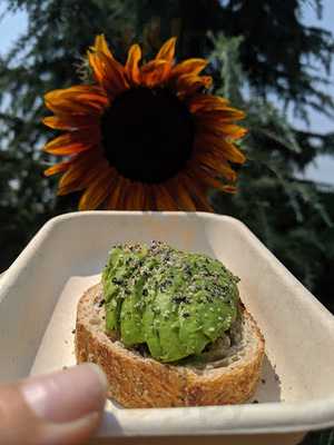 Northwest Pine Apple