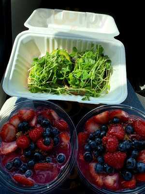 Northwest Pine Apple