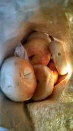 Detroit Bagel Factory