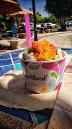 Yogurtland