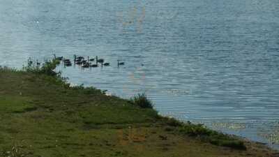 Lake Pointe Yacht Club Inc