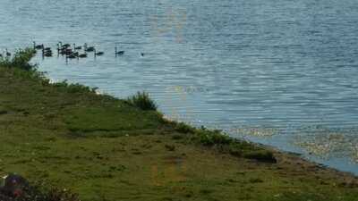 Lake Pointe Yacht Club Inc