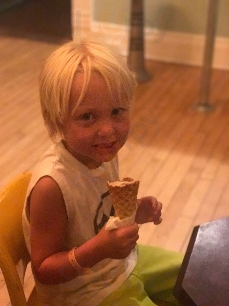 Rheas Ice Cream- Nbtx