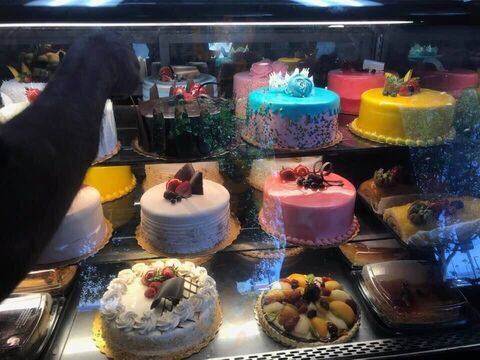 Tropicana Bakery And Cuban Cafe