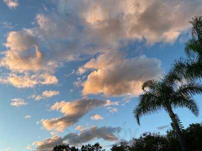 Alexanders Steakhouse