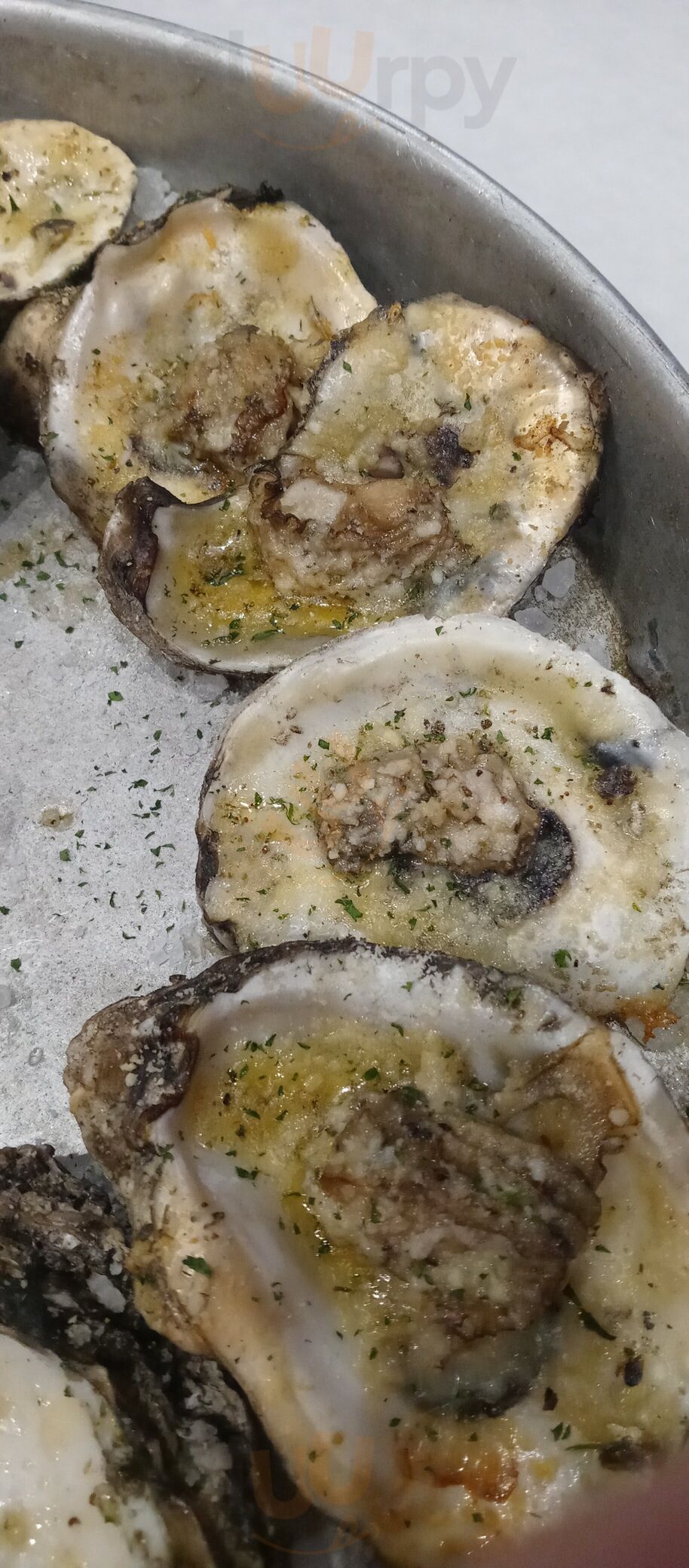 Half Shell Oyster House Hard Rock