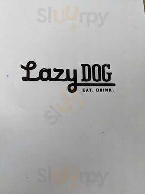 Lazy Dog Restaurant & Bar