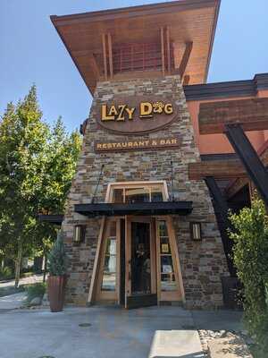 Lazy Dog Restaurant & Bar