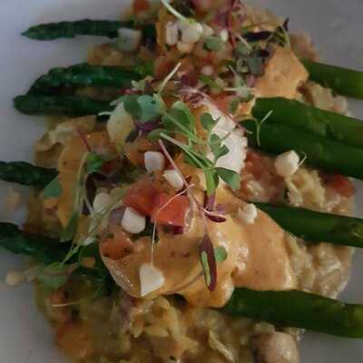 Green Olive Mediterranean Cuisine