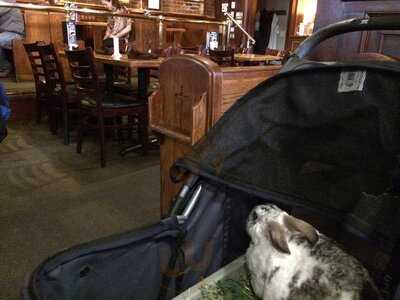 Freestone's City Grill