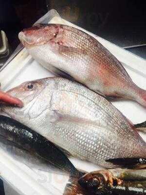 Umami Sushi Lounge & Grill Fusion