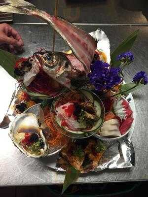 Umami Sushi Lounge & Grill Fusion