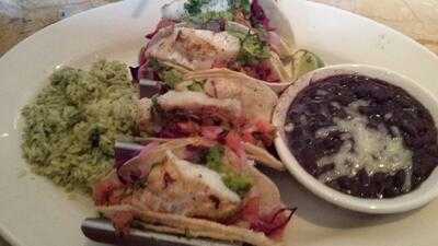 The Cheesecake Factory