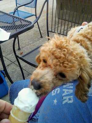 Sheridan's Frozen Custard