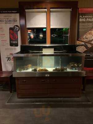Red Lobster