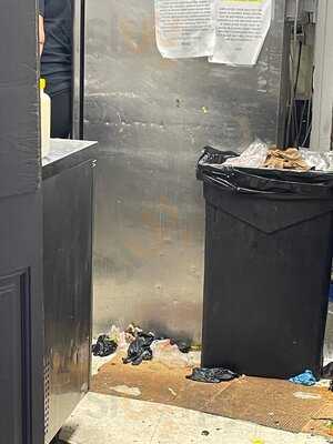 Zoggs Raw Bar & Grill & Rum Shack