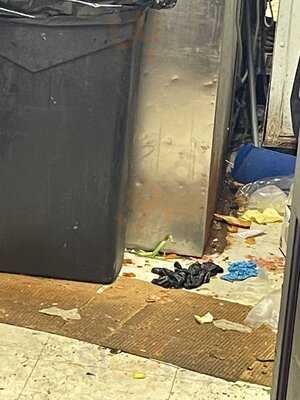 Zoggs Raw Bar & Grill & Rum Shack