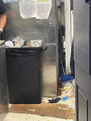 Zoggs Raw Bar & Grill & Rum Shack