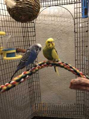 The Cultured Pearl Restaurant & Sushi Bar