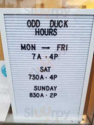 Odd Duck Coffee