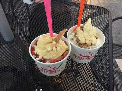 Chilly Billy's Frozen Yogurt