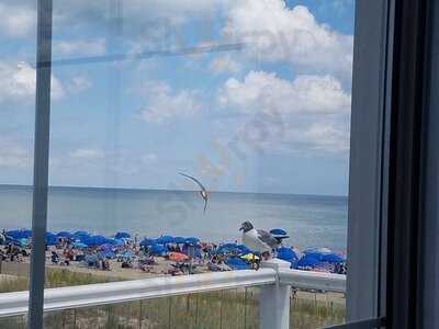 The Greene Turtle Sports Bar & Grille