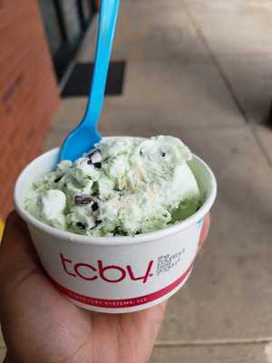Tcby Of Columbia