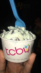 Tcby Of Columbia