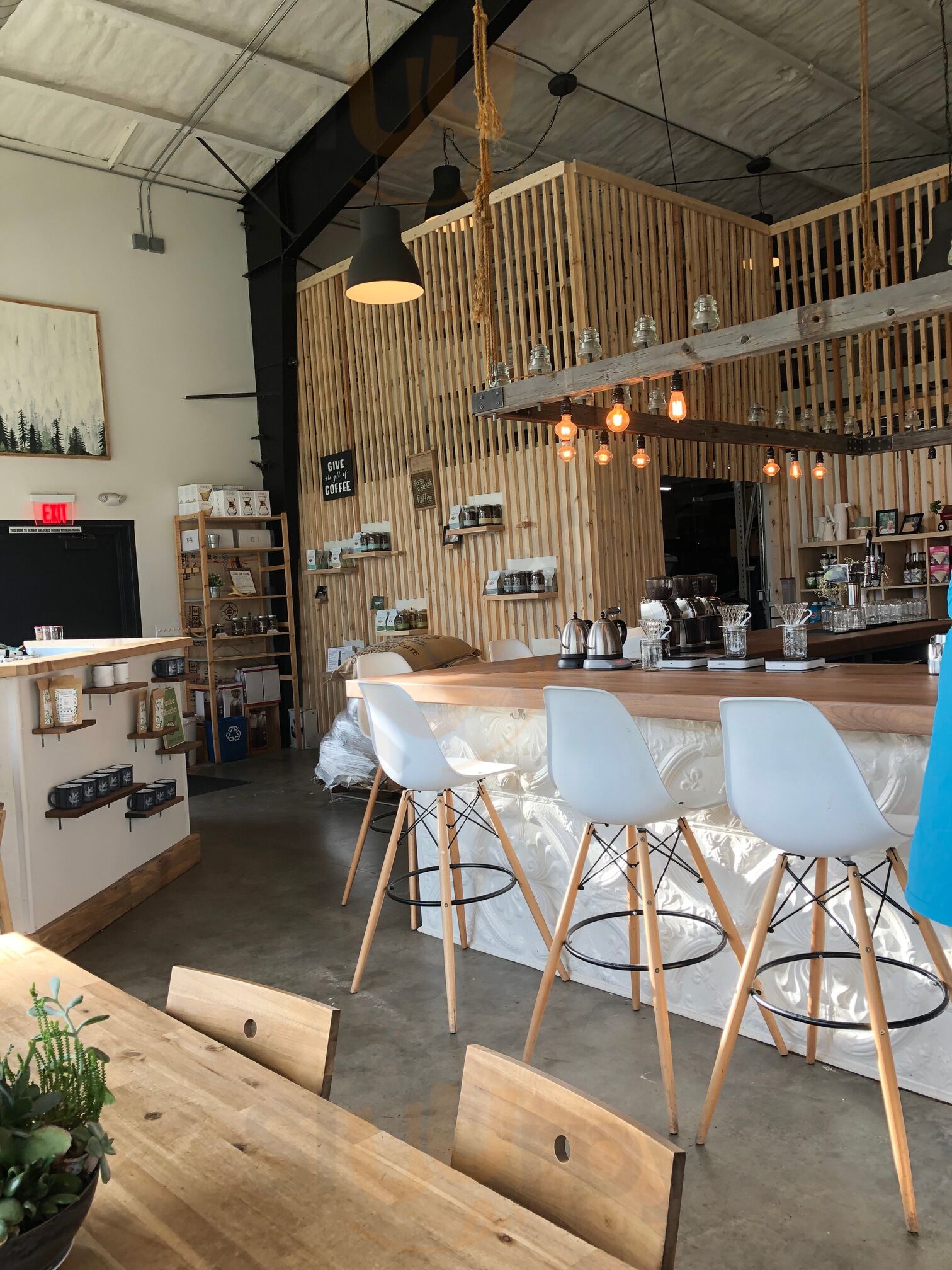 Treeline Coffee Roasters