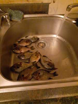 Grand Century Buffet