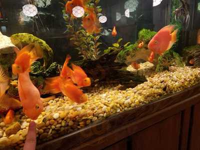 Ho-ho Chinese Restaurant