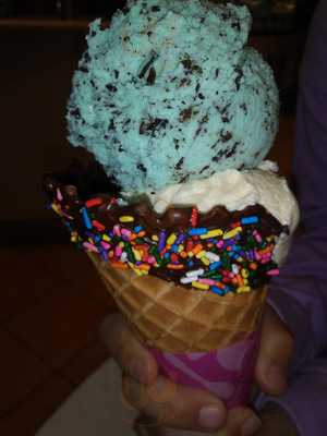 Baskin-robbins