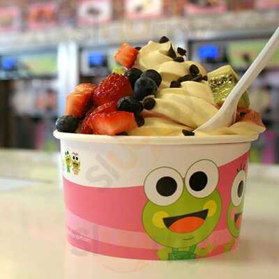 Sweetfrog Premium Frozen Yogurt