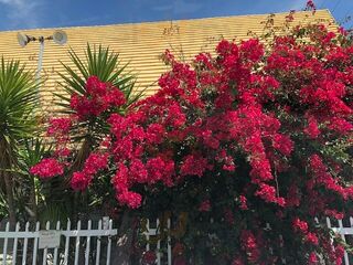 Rice & Spice Thai Cuisine