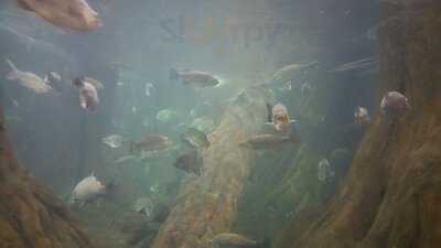 Sue's Country Kitchen