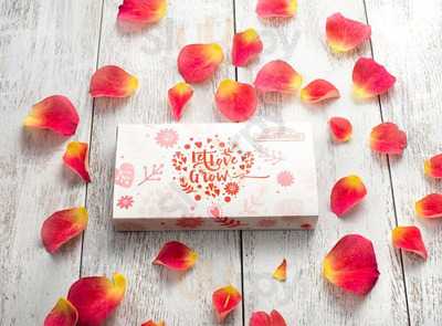 Cold Stone Creamery & Rocky Mountain Chocolate Factory