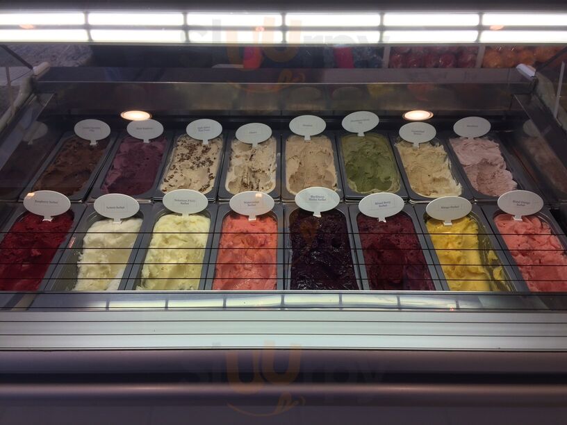 Cold Fusion Gelato