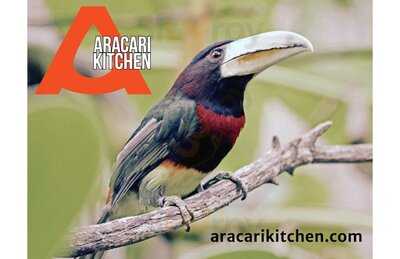Aracari Kitchen