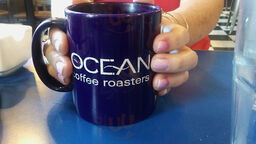 Ocean Coffee
