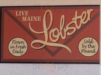 The Hard Shell - Bellgrade