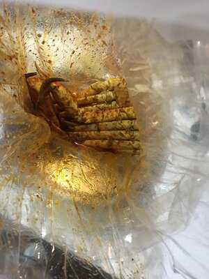 The Juicy Crab Smyrna