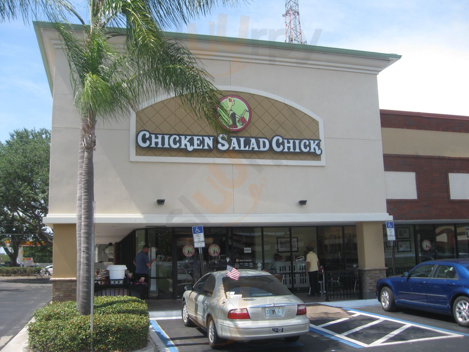 Chicken Salad Chick Of Palm Harbor