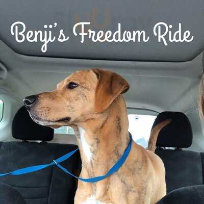 Hook Line & Schooner