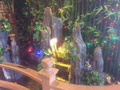 Fuji Sushi And Hibachi Japanese Restaurant